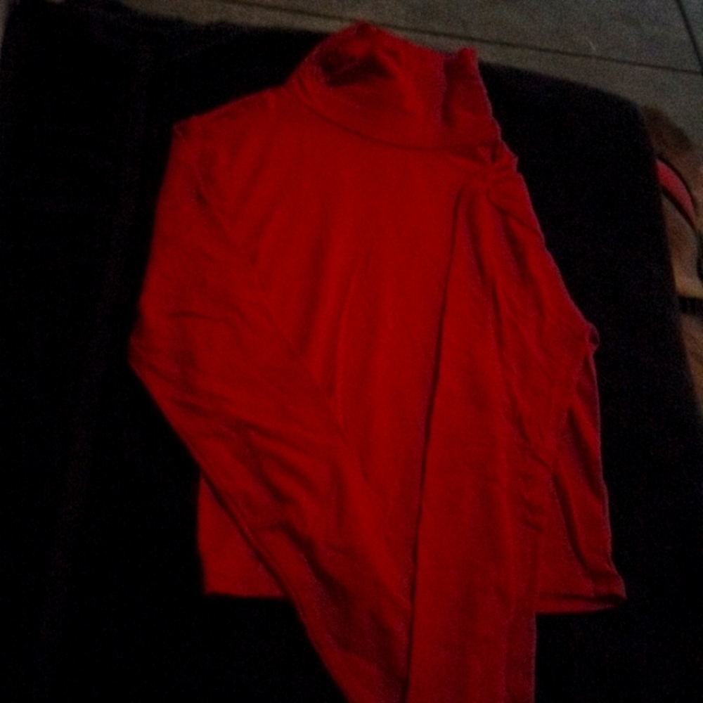 Ambiance Long Sleeve Turtleneck
